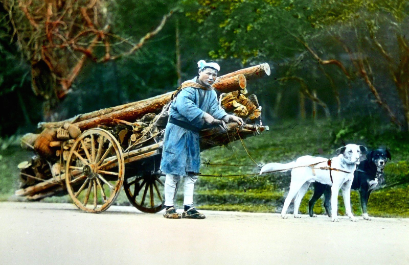 Illustration for article titled Hand-Colored Photos Turn Early 20th Century Japan Into A Dream World